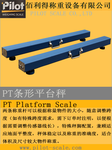PT條形平臺秤